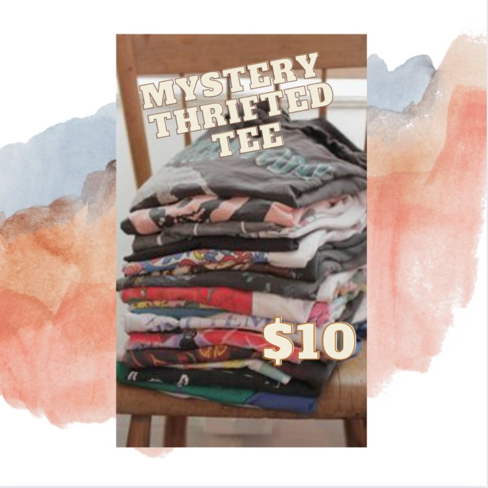 Mystery thrifted graphic tee!